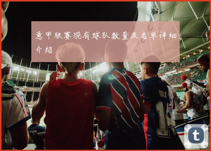 意甲联赛现有球队数量及名单详细介绍